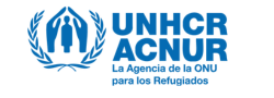 Logo de ACNUR Perú (Alto Comisionado de las Naciones Unidas para los Refugiados) - Personas con Discapacidad